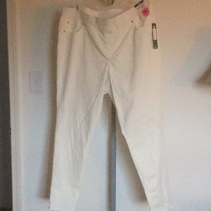 Plus Size Women’s Pants Terra& Sky